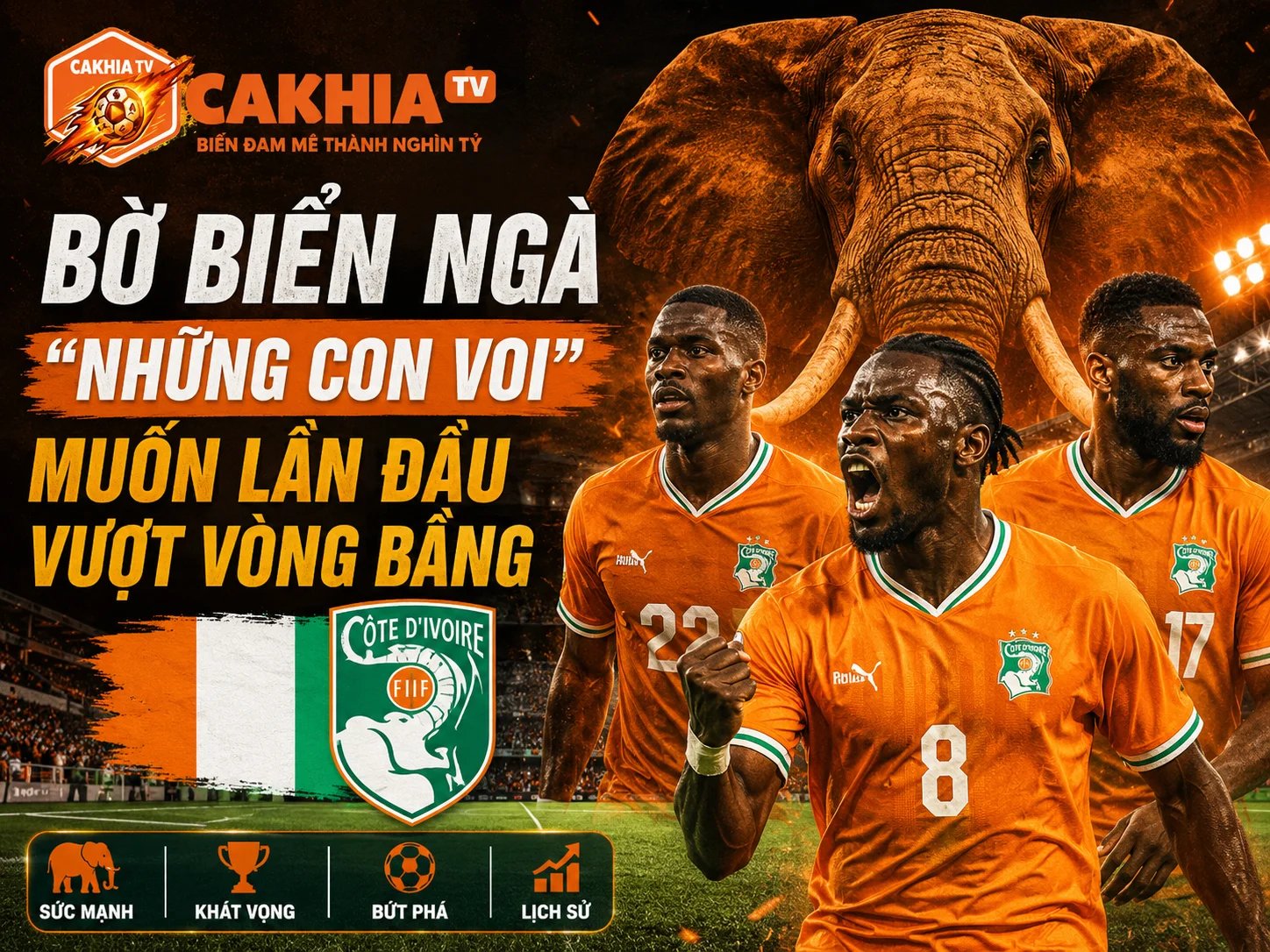 "Những Con Voi" Muốn Lần Đầu Vượt Vòng Bảng